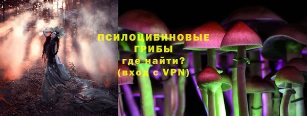 МДМА Лагань