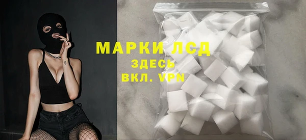 винт Лабытнанги