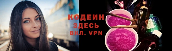 дмт Ладушкин
