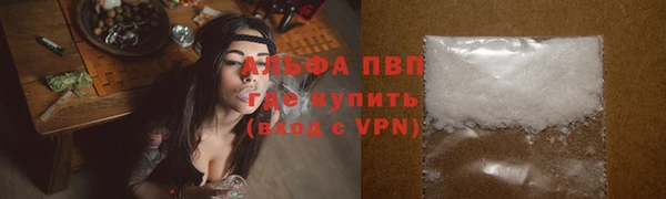 винт Лабытнанги