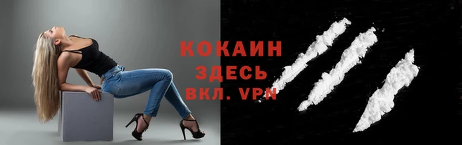 винт Лабытнанги