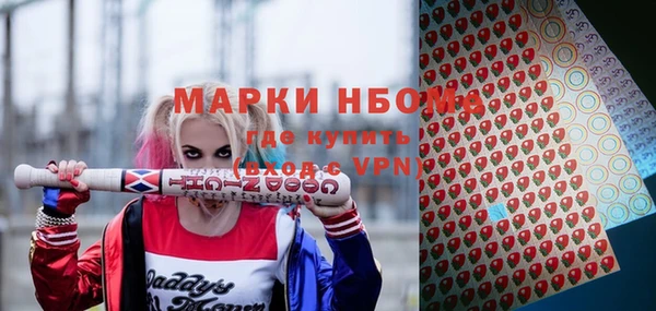 дмт Ладушкин