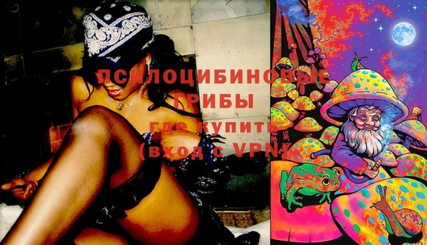 винт Лабытнанги