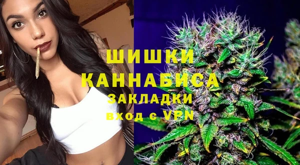 дмт Ладушкин