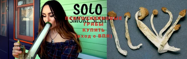винт Лабытнанги