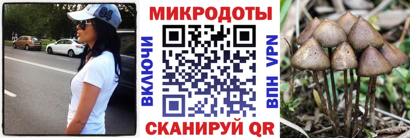 Галлюциногенные грибы Psilocybe  где купить наркотик  Волгодонск 