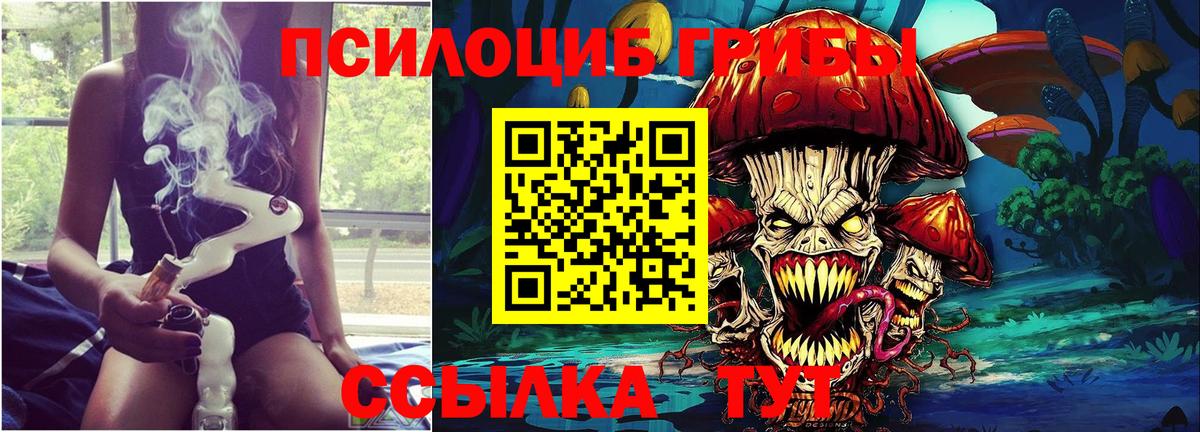 Псилоцибиновые грибы Psilocybine cubensis  Псилоцибиновые грибы Psilocybe  Волгодонск 