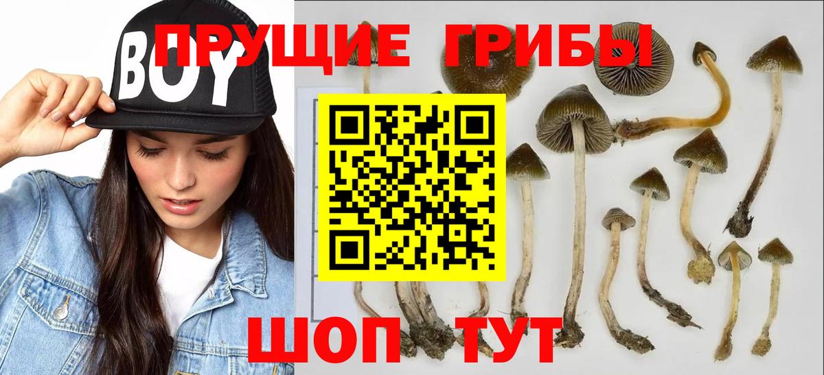Мефедрон Волгодонск