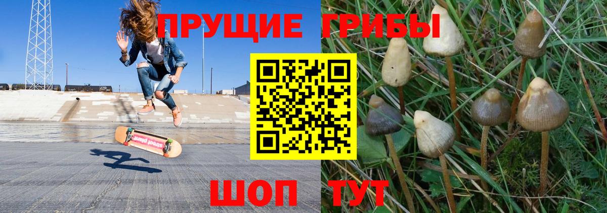 Волгодонск  цена наркотик  Вход с VPN  Псилоцибиновые грибы мухоморы 