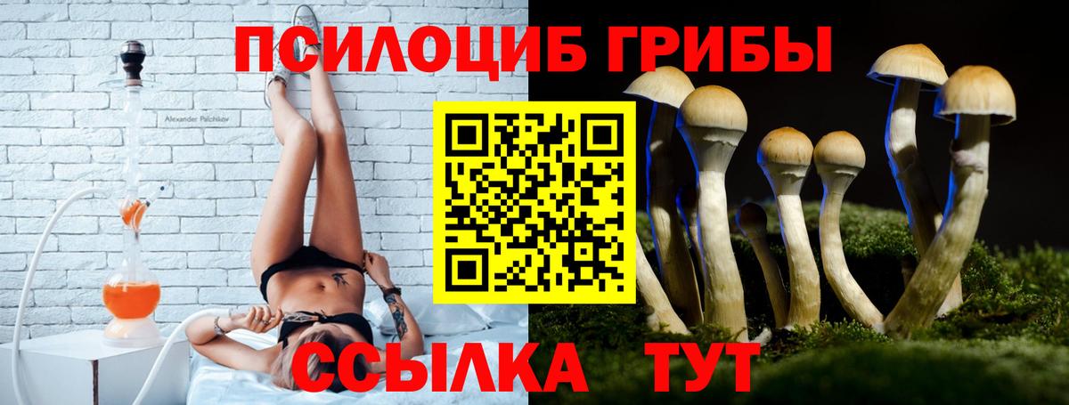 Галлюциногенные грибы мухоморы Волгодонск