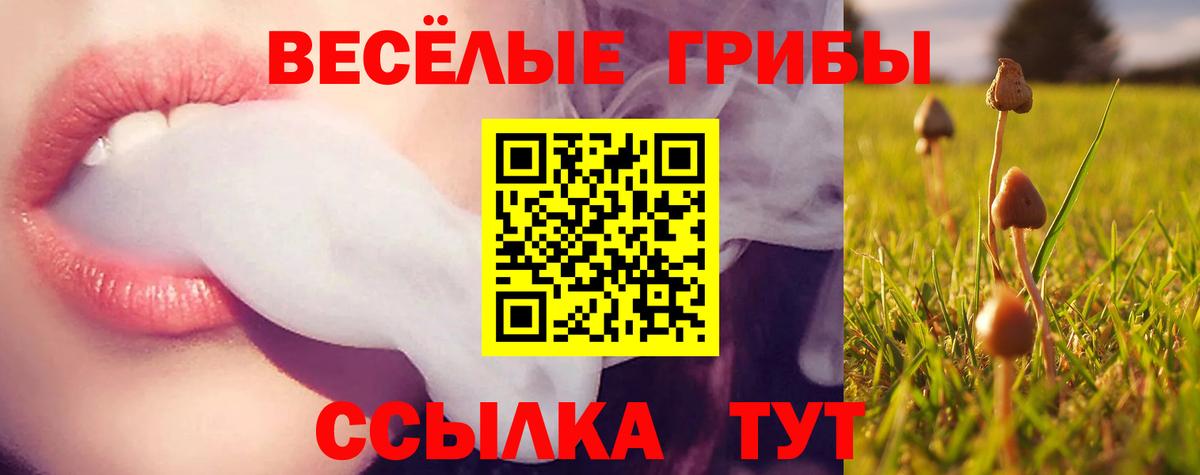 Псилоцибиновые грибы MAGIC MUSHROOMS Волгодонск